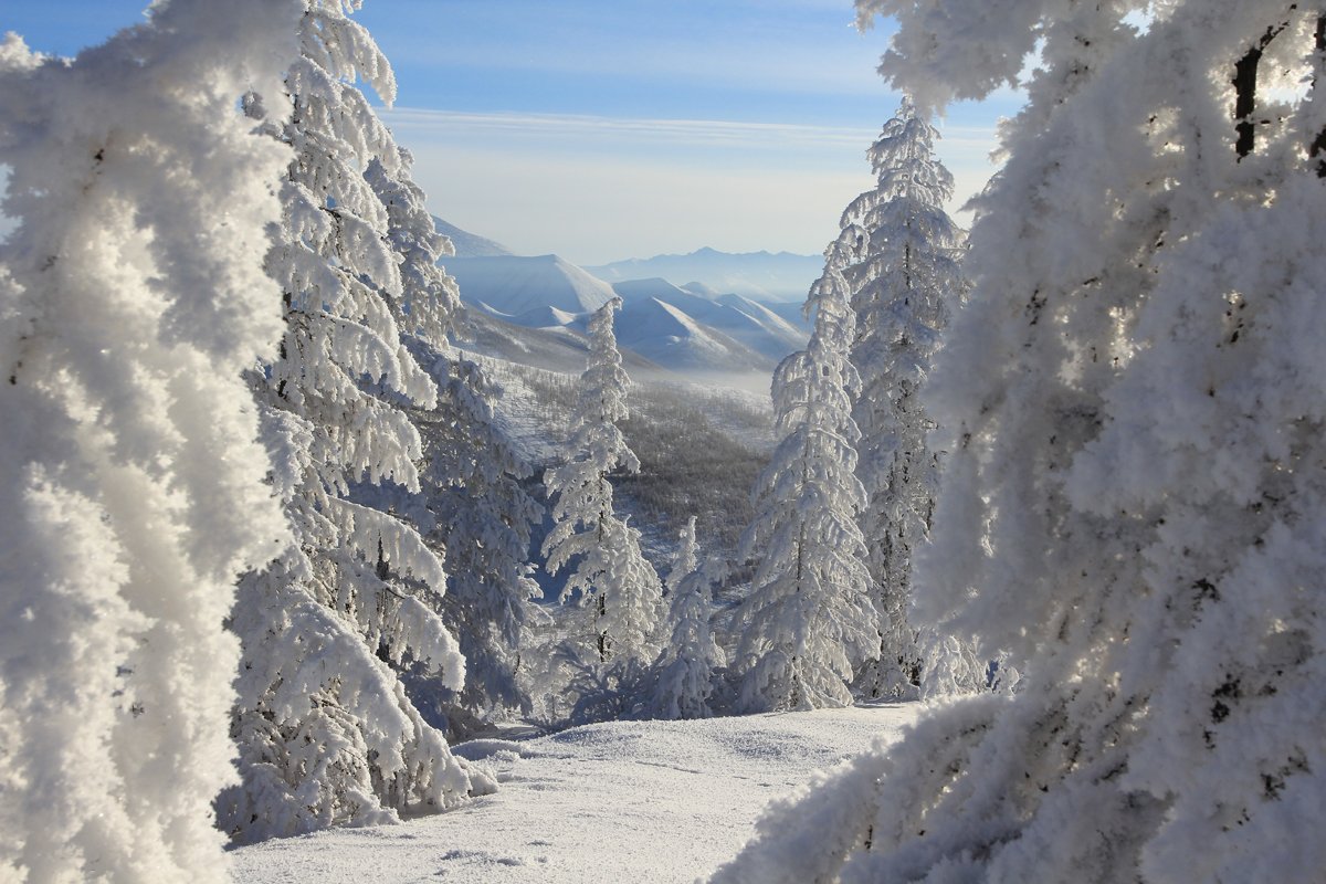 Are you brave enough to experience a Siberian winter? – Russia – Discover  the Unknown