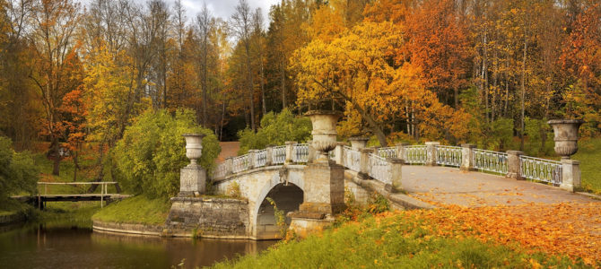 Reasons to go to Russia Reasons to go to Russia