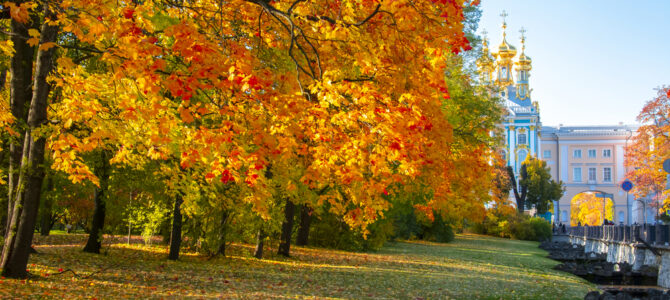 Celebrate Kupala night with us!