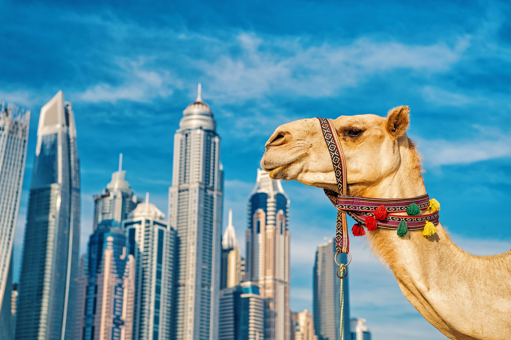 A Middle East Stopover on Your Way to Russia